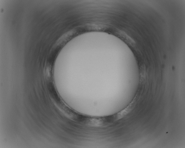 X0000081290166200702012253