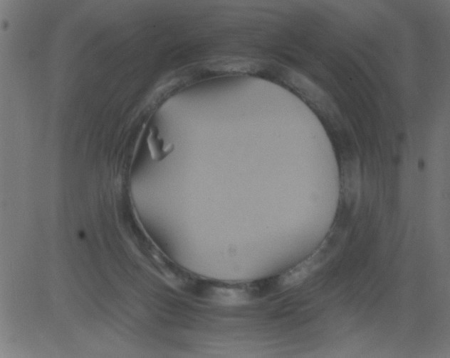 X0000081290167200702012253