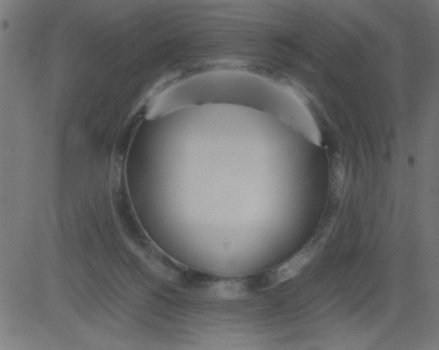 X0000081290168200702012253