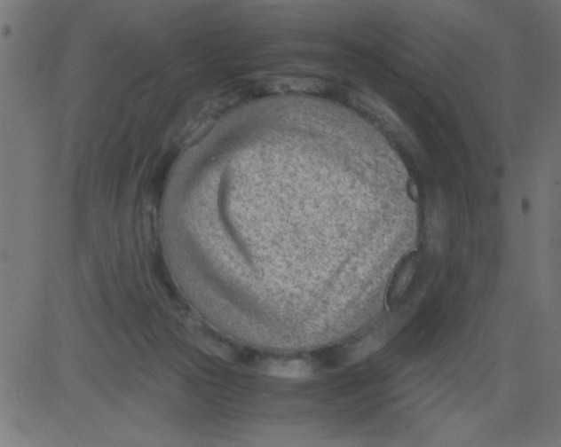 X0000081290169200702012253