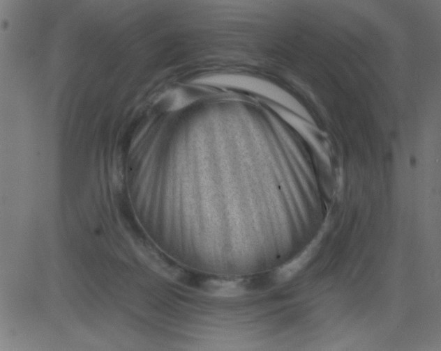 X0000081290170200702012253