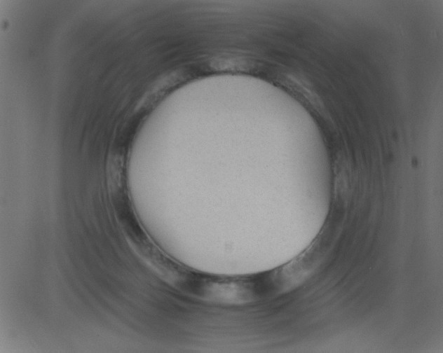 X0000081290171200702012253