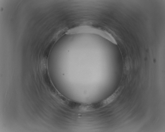 X0000081290172200702012253