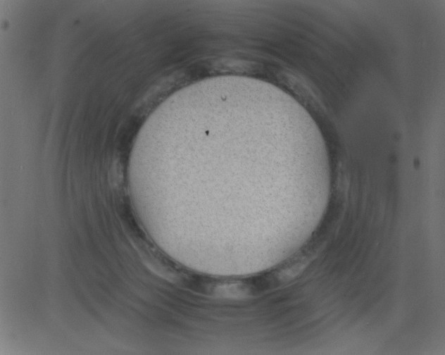 X0000081290173200702012253