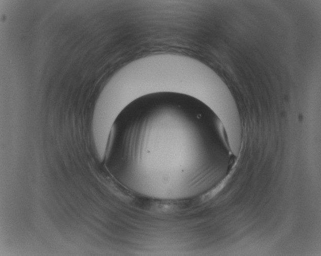 X0000081290174200702012253