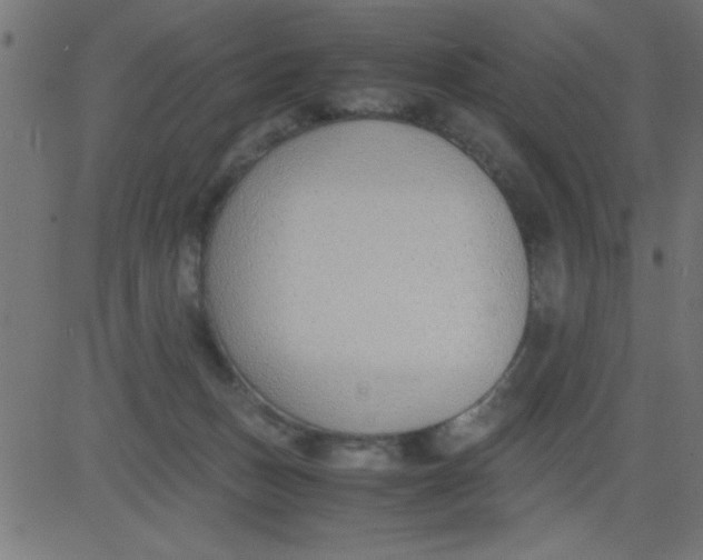 X0000081290175200702012253