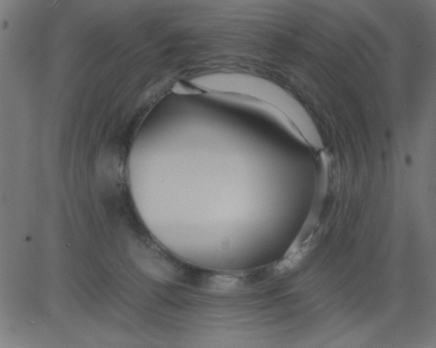 X0000081290176200702012253