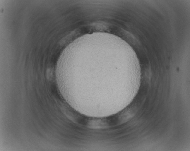 X0000081290177200702012253