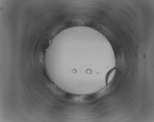 X0000081290178200702012253