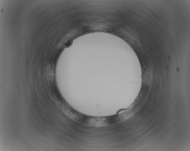 X0000081290179200702012253