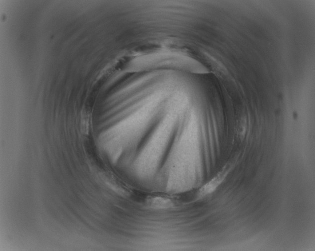 X0000081290180200702012253