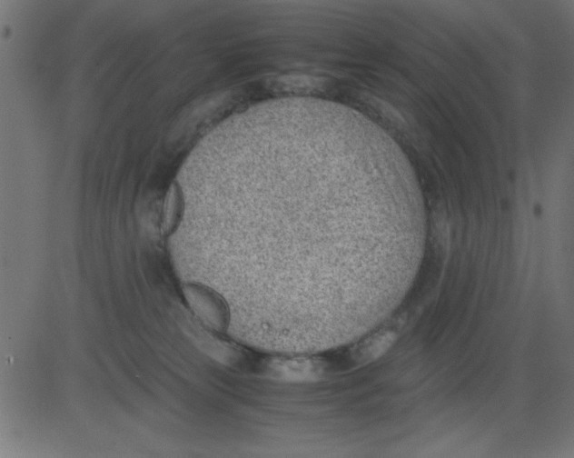 X0000081290181200702012253