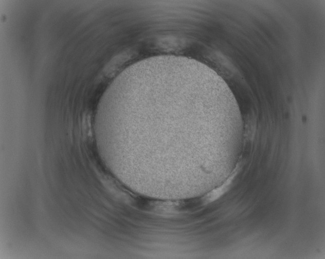 X0000081290182200702012253