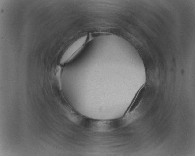 X0000081290184200702012253