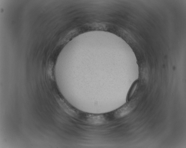 X0000081290185200702012253