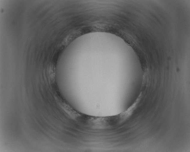 X0000081290186200702012253