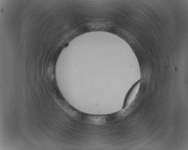 X0000081290187200702012253