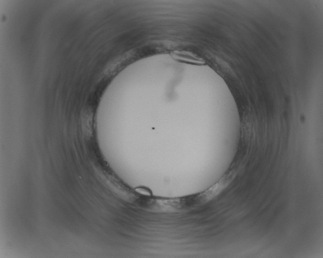 X0000081290188200702012253