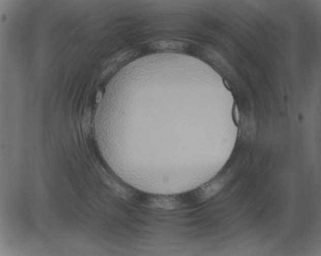 X0000081290189200702012253