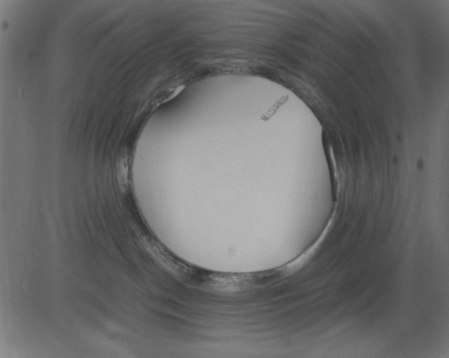 X0000081290190200702012253