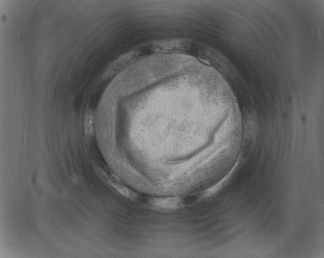 X0000081290191200702012253