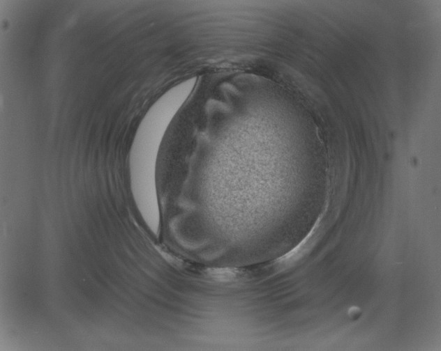 X0000081290192200702012253