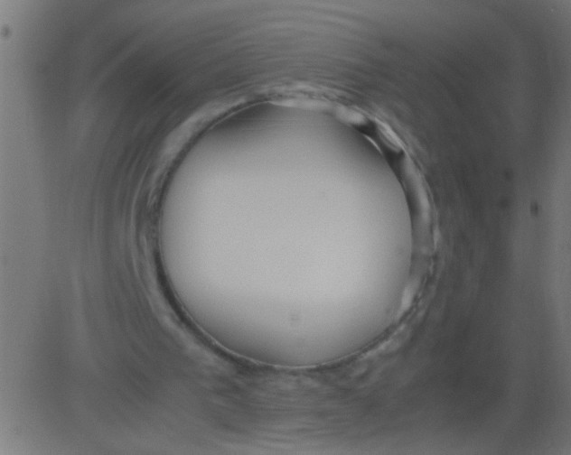 X0000081290193200702012253