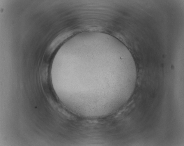 X0000081290194200702012253