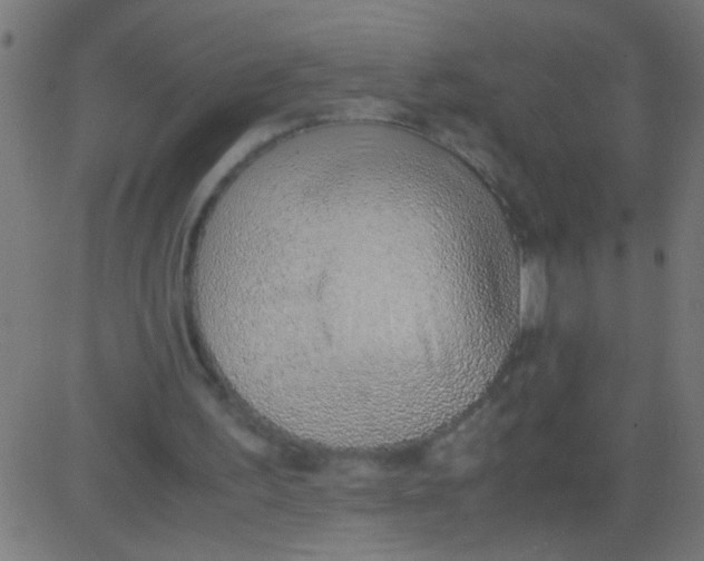 X0000081290195200702012253