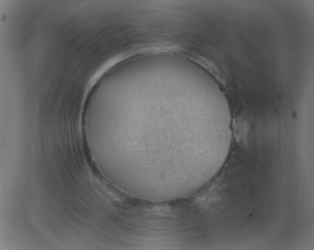 X0000081290196200702012253