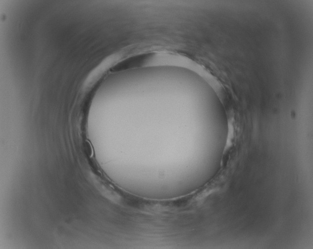 X0000081290197200702012253