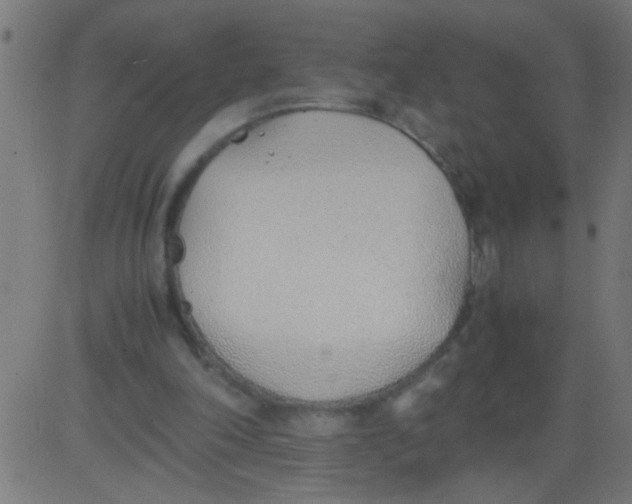 X0000081290198200702012253