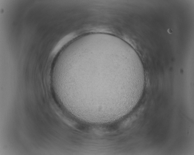 X0000081290199200702012252