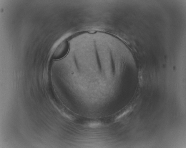 X0000081290200200702012252