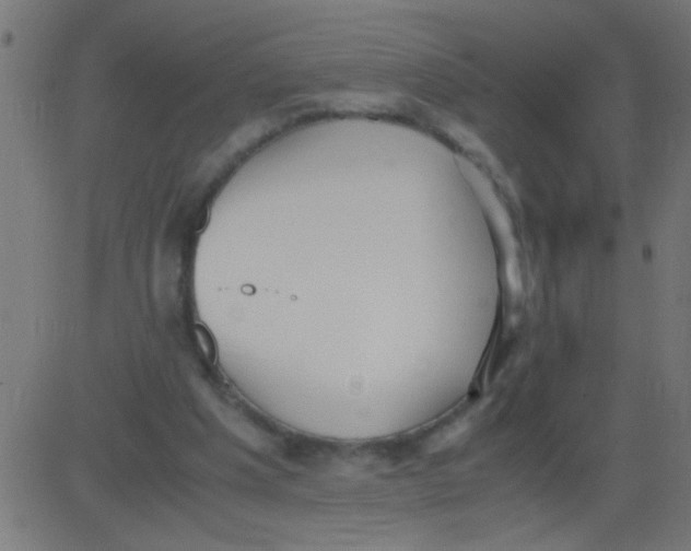 X0000081290201200702012252