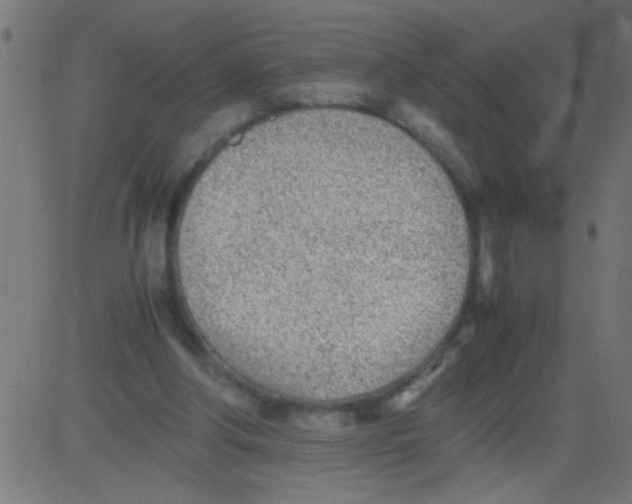 X0000081290202200702012252