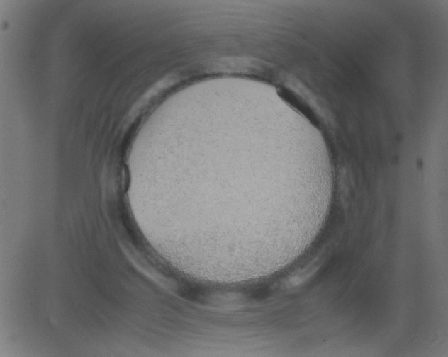 X0000081290203200702012252