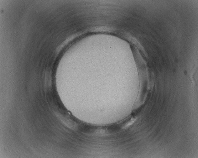 X0000081290204200702012252