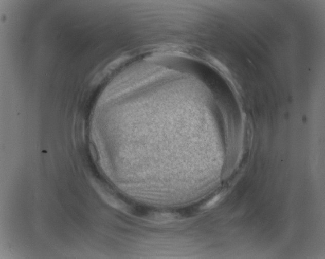 X0000081290205200702012252