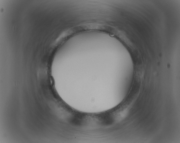 X0000081290207200702012252