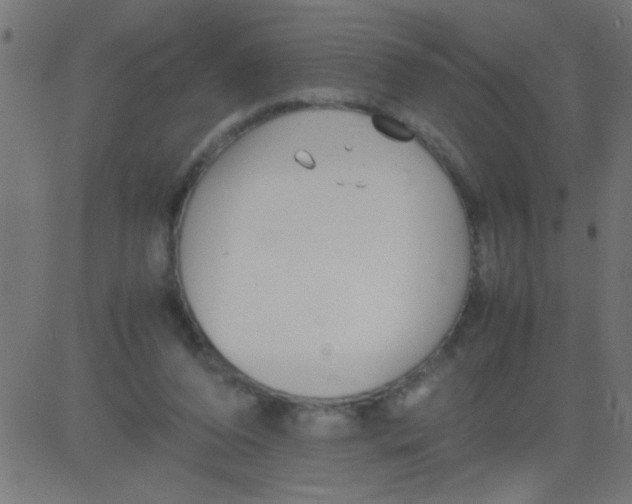 X0000081290208200702012252