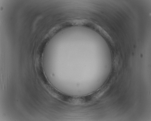 X0000081290209200702012252