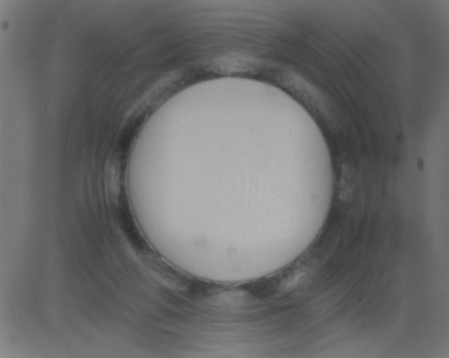 X0000081290210200702012252