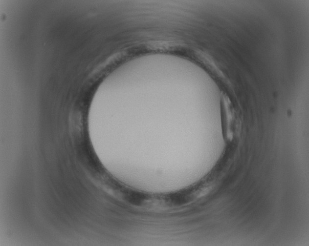 X0000081290211200702012252