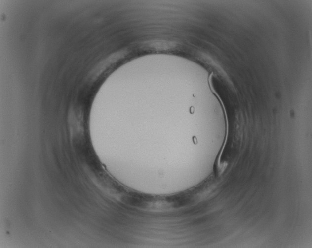 X0000081290212200702012252