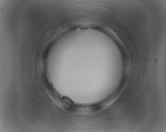 X0000081290213200702012252