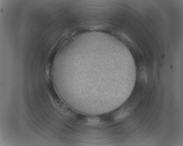 X0000081290214200702012252