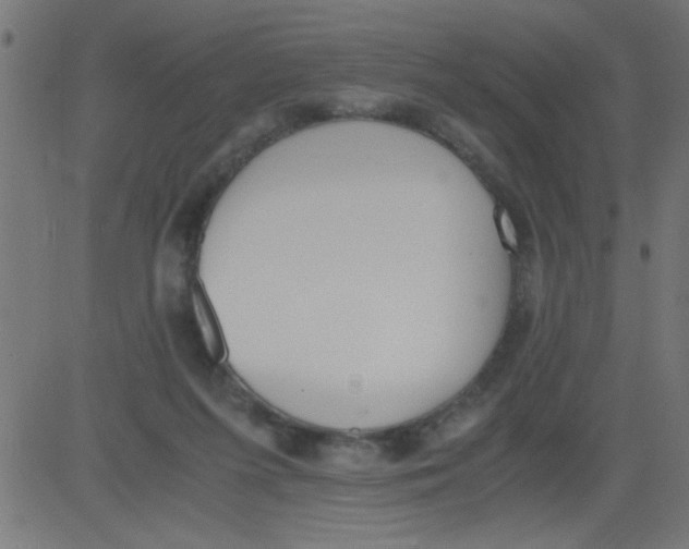 X0000081290215200702012252