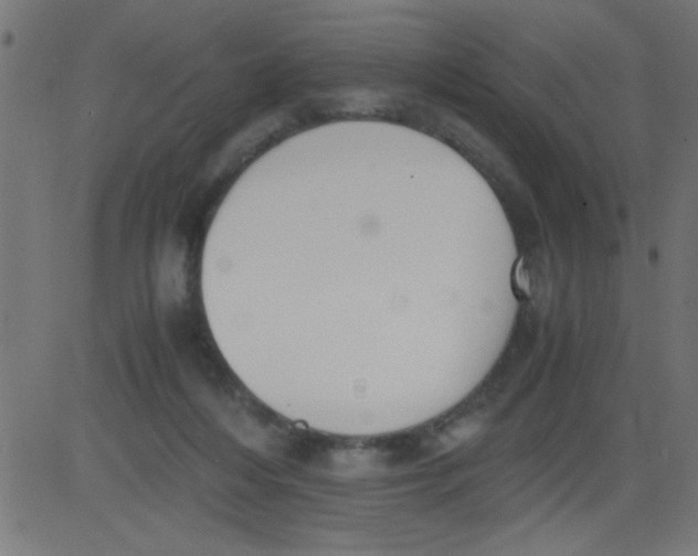 X0000081290216200702012252