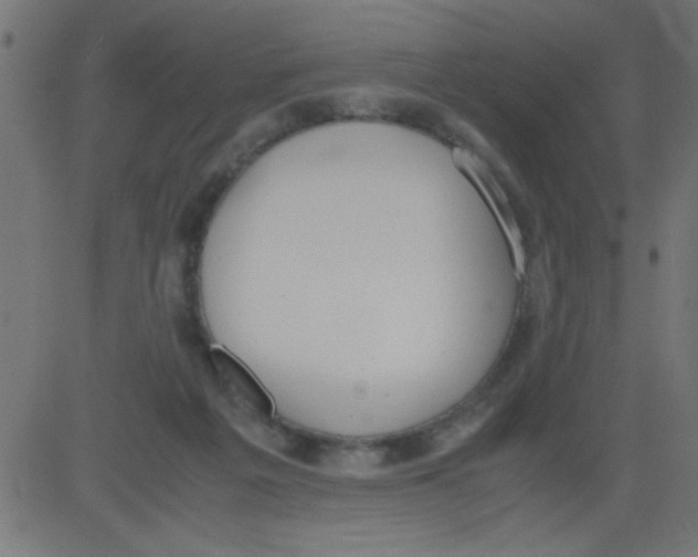 X0000081290217200702012252